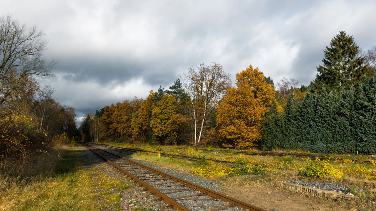 Bahnstrecke zwischen Bäumen mit Herbstlaub